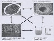 4 permasalahan pada cooling tower kerak, korosi, lumut, lendir