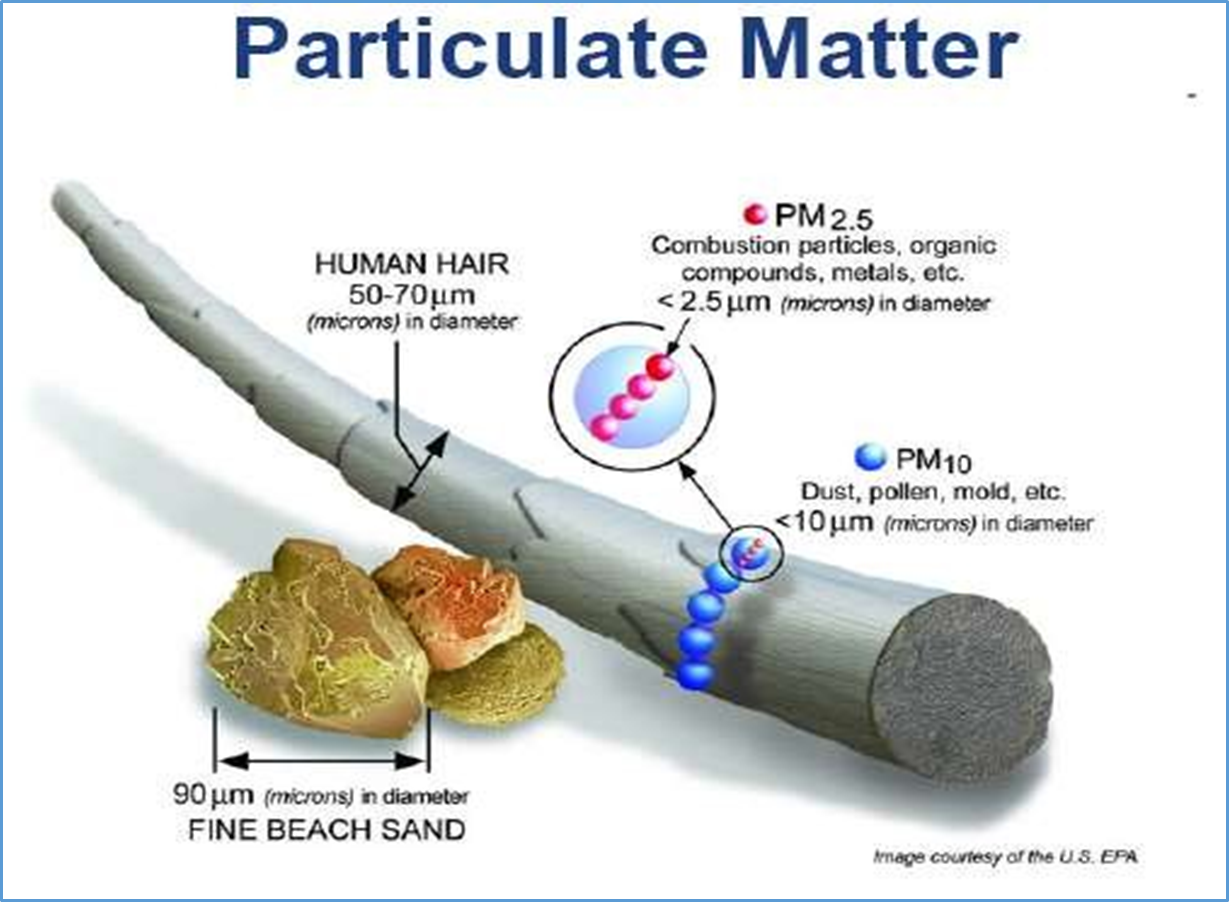 particulate matter perbandingan ukuran partikel dalam udara yang bisa disaring dengan HEPA filter